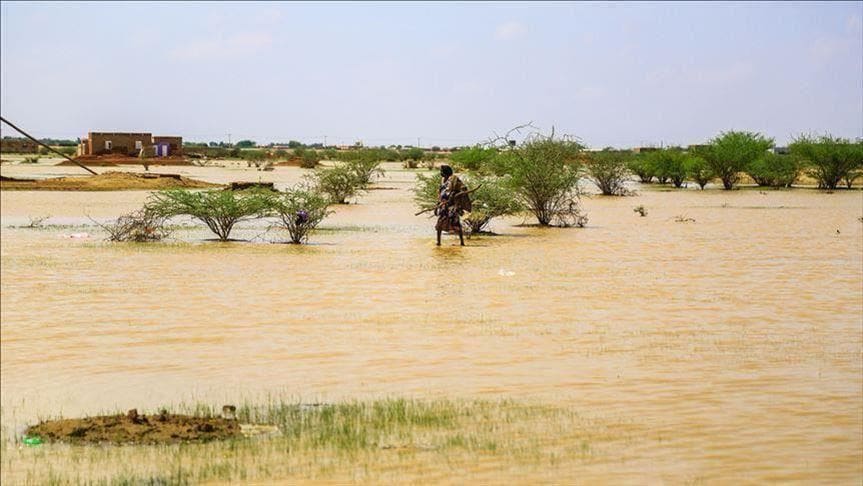 الهيئة الوطنية للأرصاد: الأمطار تتجاوز 300 ملم في مناطق من الحوضين وتفاوت في العجز