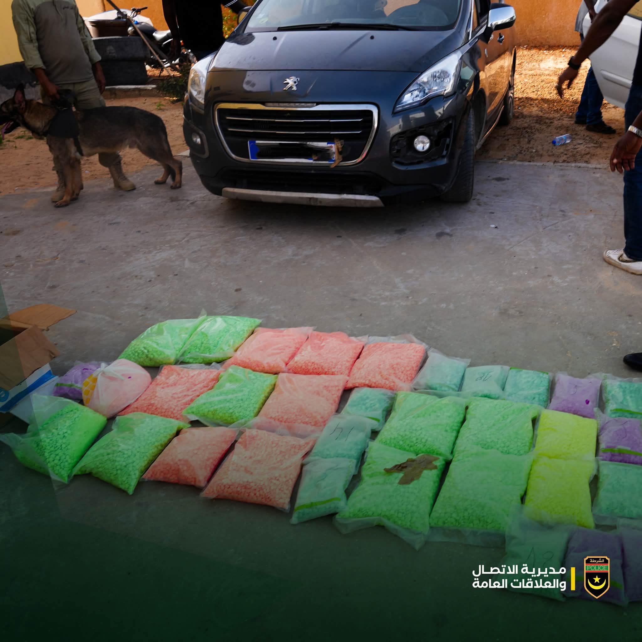 الشرطة الوطنية تحبط تهريب 162 ألف قرص من «الإكستازي» وتطيح بشبكة للمخدرات